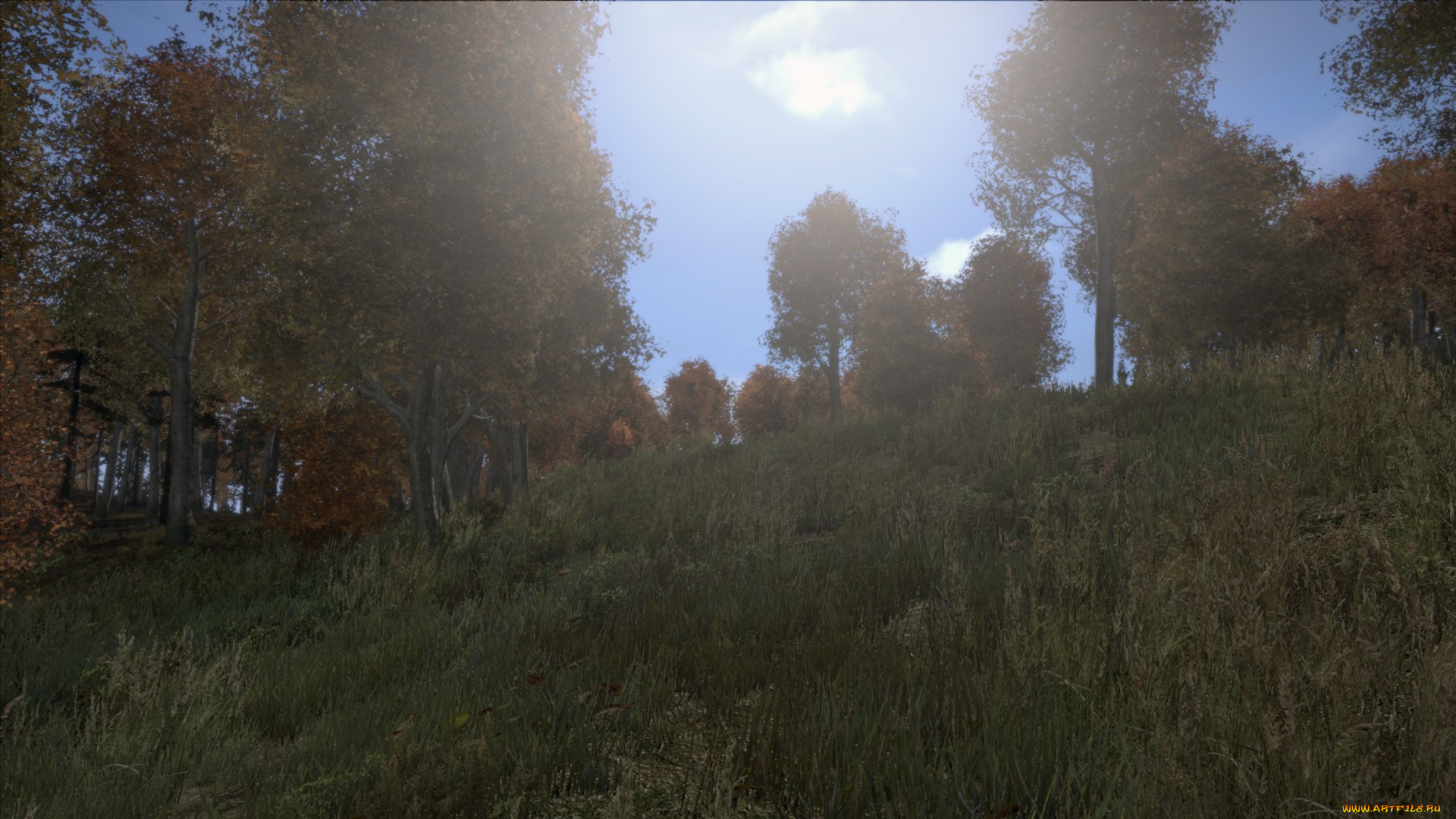  , dayz standalone, 